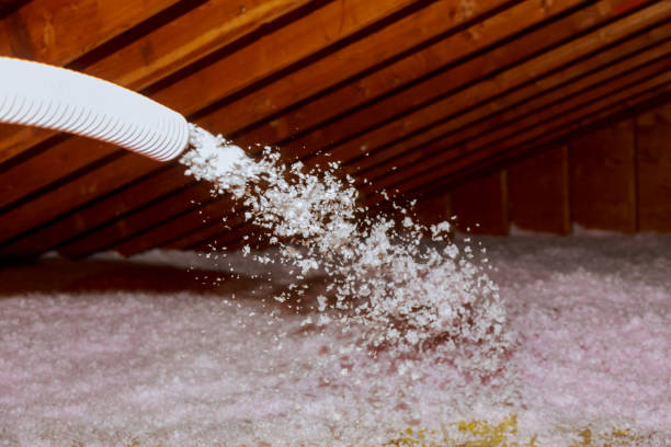 Best Affordable Insulation Services  in Hilton, NY