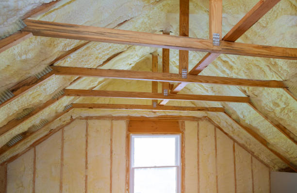 Best Home Insulation Services  in Hilton, NY