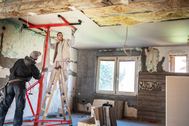 Best Spray Foam Insulation  in Hilton, NY