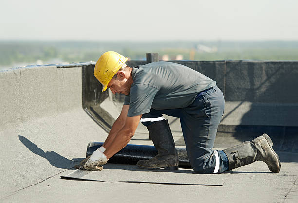 Best Spray Foam Insulation  in Hilton, NY