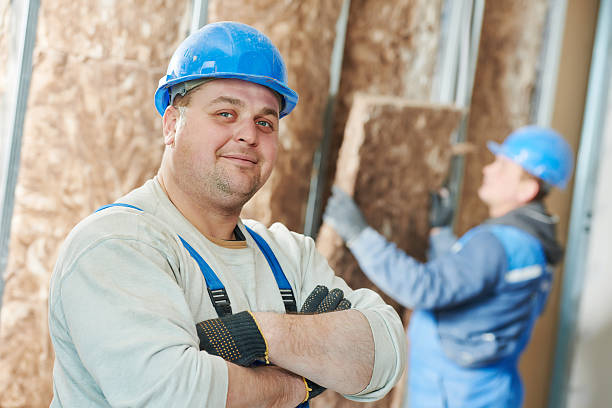 Best Insulation Contractors for Homes  in Hilton, NY