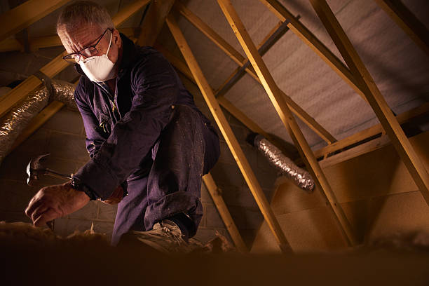 Best Garage Insulation Installation  in Hilton, NY